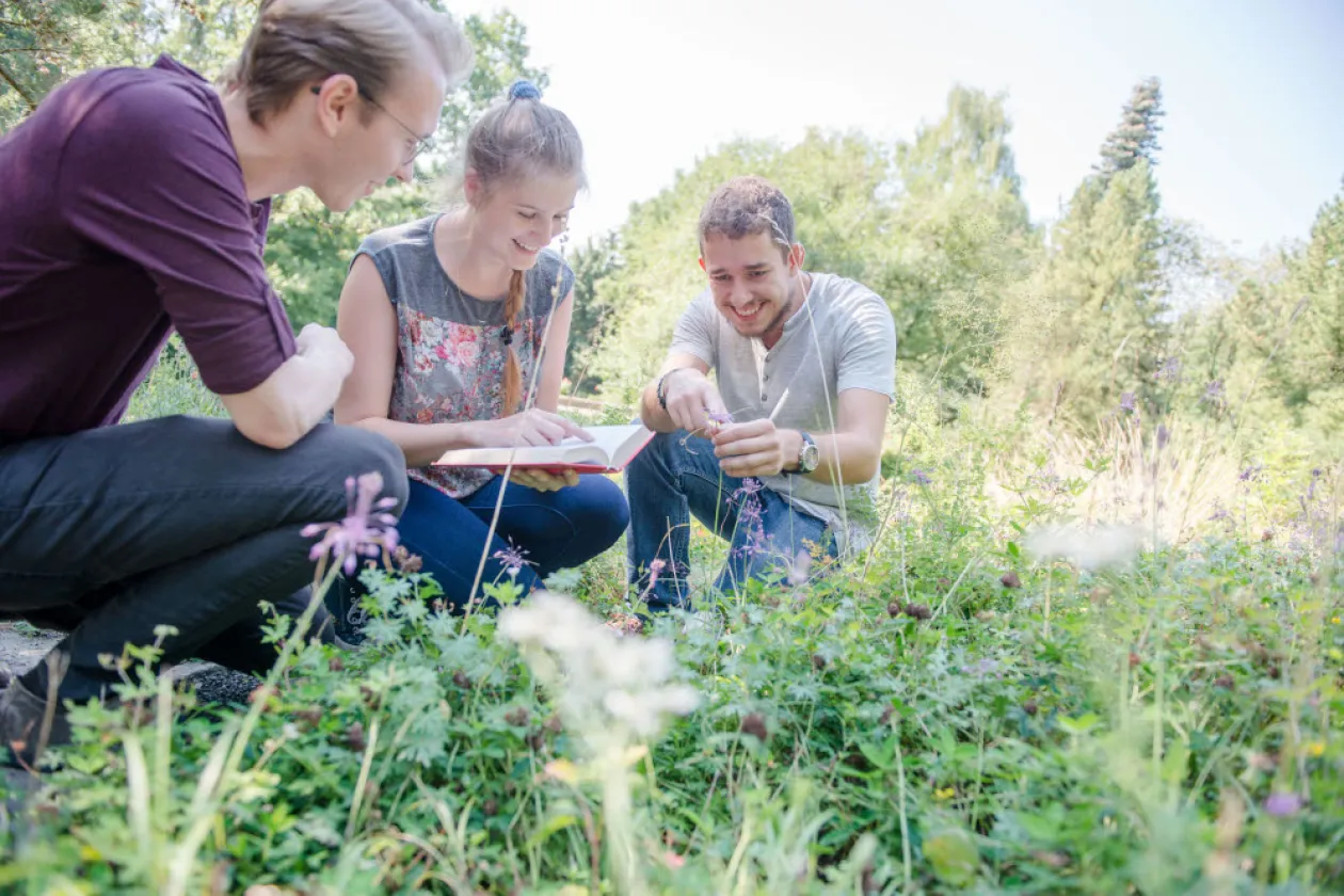 Drei Studierende hocken im Gras und schauen sich Pflanzen an. 