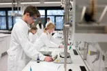 Im Schülerlabor experimentieren Kinder im Bereich Chemie. 