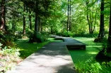 Herbstimpression vom Botanischen Garten der RUB