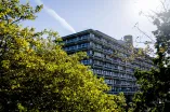 Photo of the NB building in the sunshine. Trees can be seen in the foreground.
