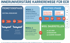 Schaubild: Die Infografik illustriert das Modell Neue Karrierewege für ECR