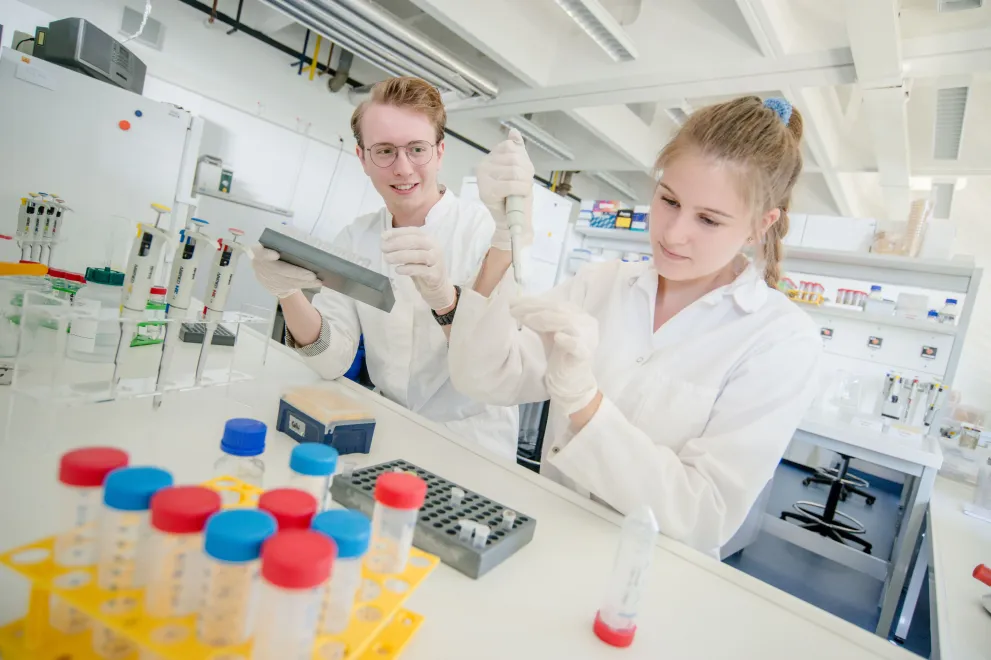 Zwei Studierende im Labor beim Pipettieren 