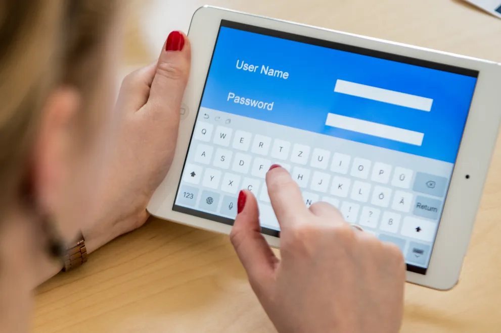 Projekt Identity Management Passworteingabe