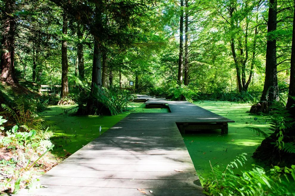 Herbstimpression vom Botanischen Garten der RUB