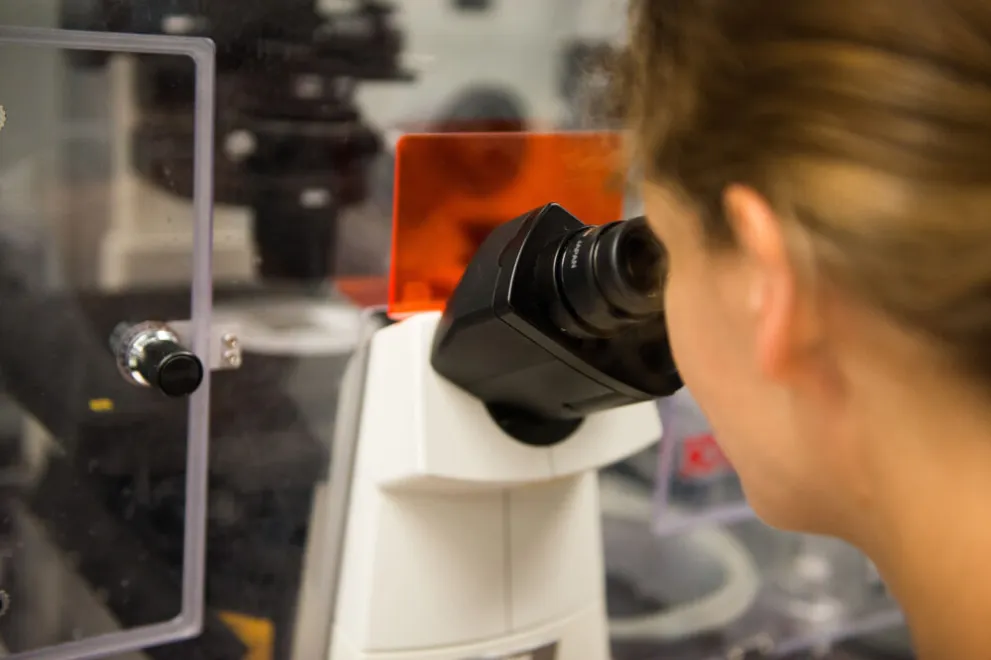 Forscherin schaut durch ein Mikroskop. 