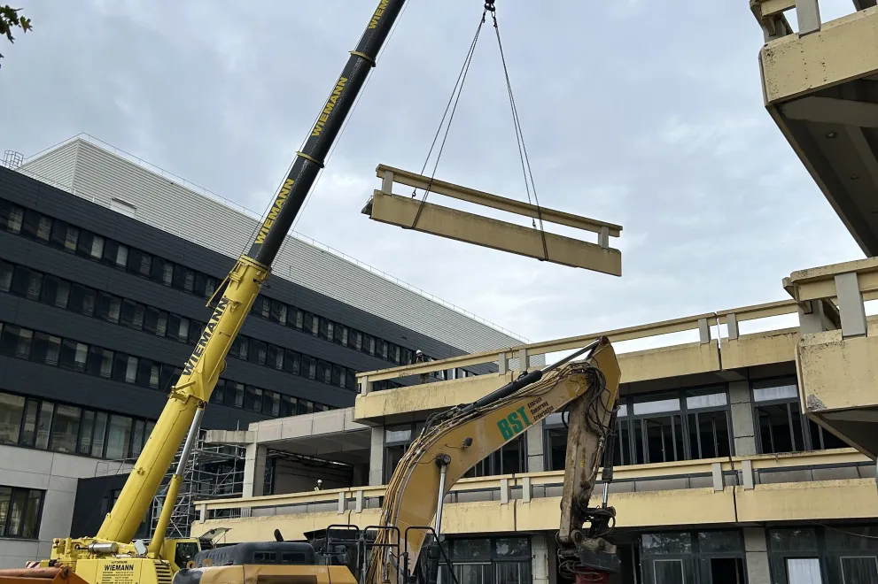 erstes Balkonelement am Haken