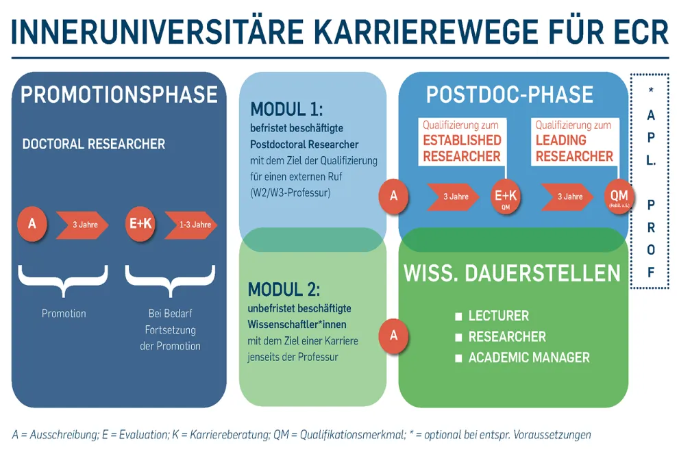 Schaubild: Die Infografik illustriert das Modell Neue Karrierewege für ECR