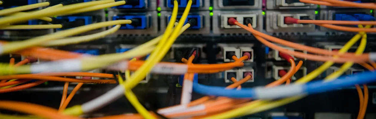 Das Bild zeigt viele bunte Kabel, die in Anschlüsse laufen