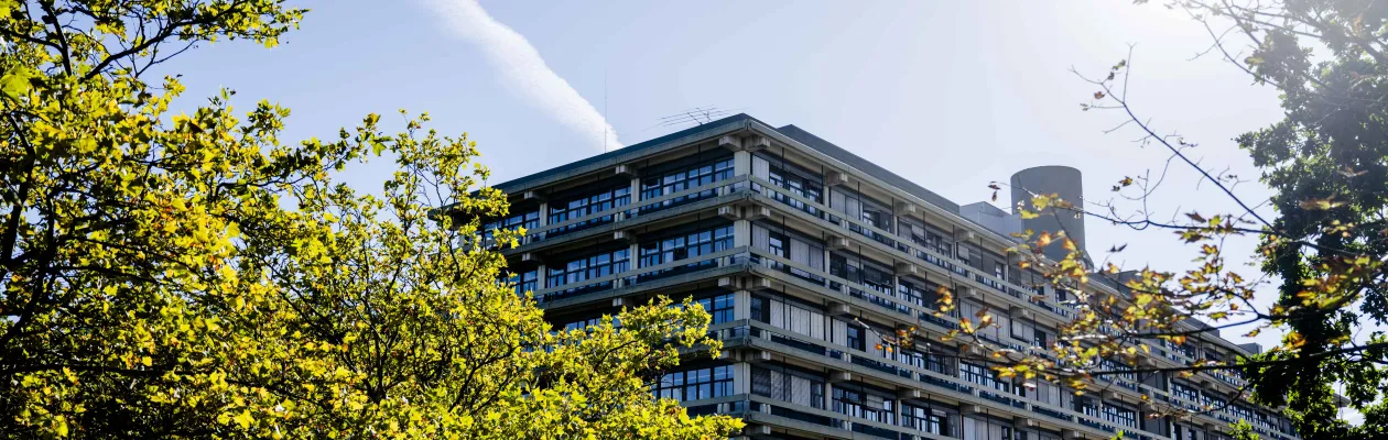 Photo of the NB building in the sunshine. Trees can be seen in the foreground.